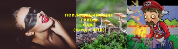 скорость Алзамай