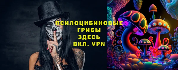 амф Абаза
