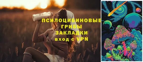 марки lsd Карпинск
