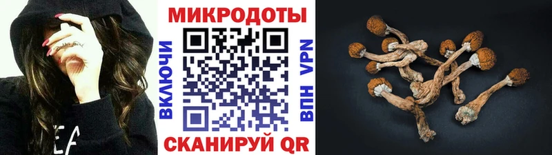 Псилоцибиновые грибы Cubensis  цены   Новоульяновск 