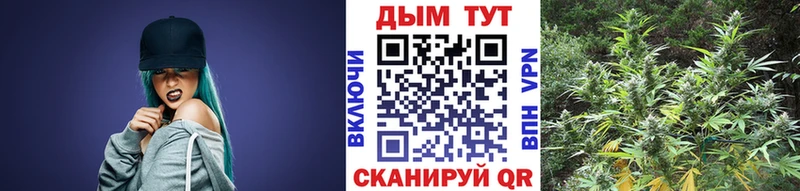 Каннабис VHQ купить наркотики сайты Новоульяновск